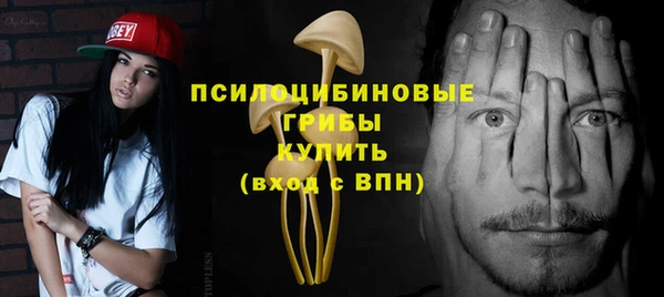 крисы Гусиноозёрск