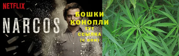 винт Гусев