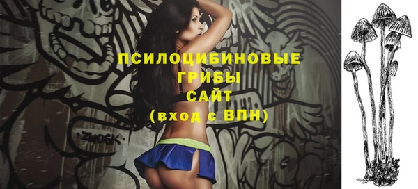 бутират Гусь-Хрустальный
