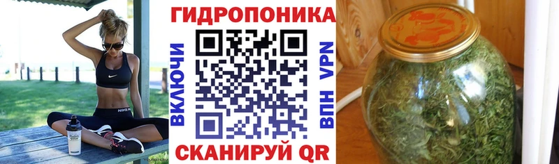 Шишки марихуана марихуана  Златоуст 